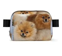 WSHFFILO Cute Pomeranian Printed Square-Shaped Fashionable Waist Bag Casual Chest Bag