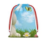 WSHFFILO Easter Bunny with Eggs and Spring Butterfly printed Drawstring Gift Bag Decoration Gift Wrap Bags