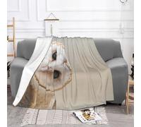 WSHFFILO Funny Owl printed Ultra-Soft Micro Fleece Blanket Plush sofa throw