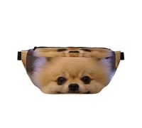 WSHFFILO Happy Short-haired Pomeranian Printed Crossbody Waist Pack Casual Chest Bag