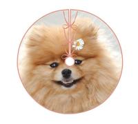 WSHFFILO Pomeranian dog printed Christmas tree skirt Christmas Tree Skirt Base Cover