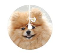 WSHFFILO Pomeranian dog printed Christmas tree skirt Christmas Tree Skirt Base Cover