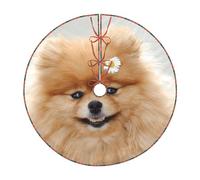 WSHFFILO Pomeranian dog printed Christmas tree skirt Christmas Tree Skirt Base Cover