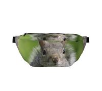 WSHFFILO Red Squirrel Printed Crossbody Waist Pack Casual Chest Bag
