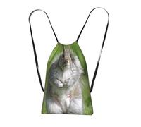 WSHFFILO Red Squirrel printed Storage bag with a drawstring backpack Drawstring strap pack Gym Bag