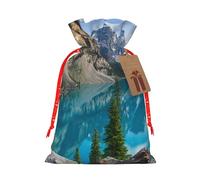 WSHFFILO Rocky Mountains printed Gift wrapping bag Jute Drawstring Gift Bag