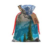 WSHFFILO Rocky Mountains printed Gift wrapping bag Jute Drawstring Gift Bag