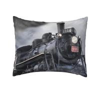 WSHFFILO Steam Train Clouds printed Pillow Case 20x26in Decorative pillowcase Throw Pillow Cover