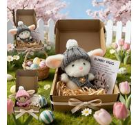 Wsndyjia Handmade Bunny Hug Easter Gift, 2026 New Cute Soft Plush Mini Rabbit Hugs in Box with Card, Easter Basket Bunny Stuffer Adult for Birthday, Mother's Day, Valentine's Day (Grey)