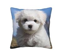 WSOIHFEC Bichon Frise Dog Print Throw Pillow Covers Soft Corduroy Cushion Covers Square Pillowcase Cushion Case for Sofa Living Room Home Decoration 20"x20"