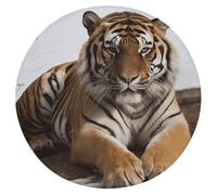 WSOIHFEC Big Tiger Seat Cushion Round Chair Pad