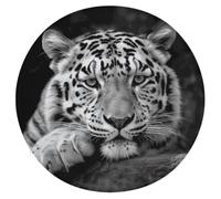 WSOIHFEC Black and White Tiger Seat Cushion Round Chair Pad