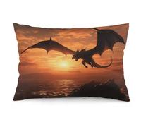 WSOIHFEC Sea Sunset Flying Dragon Throw Pillow Covers Decorative, Pillow Cases Soft Plush, Modern Farmhouse Boho Cushion Cover for Bed Couch Sofa Living Room Spring Decor12 x20