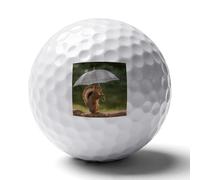WSOIHFEC Squirrel Hold A Umbrellas Soft Golf Balls,Practice Golf Balls Dimple Design,Golf Practice Balls Home/Indoor/Backyard Training