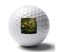 WSOIHFEC Strawberries on The Grass Soft Golf Balls,Practice Golf Balls Dimple Design,Golf Practice Balls Home/Indoor/Backyard Training