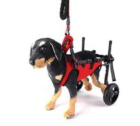 WSPWFQ Adjustable Dog Wheelchair - Pet Mobility Aid for Rear Legs, Breathable Mesh Vest & Aluminum Frame, Includes Leash + Poop Bag, Fit Small/Medium Dogs(L)