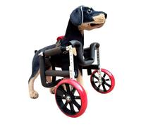 WSPWFQ Dog Front Leg Wheelchair | Sturdy, Lightweight & Stylish | Adjustable Height Rack & Comfort Foam Tubing(Xs)