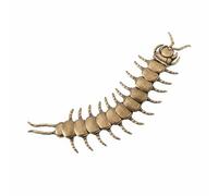 Wswqop Button Cover Gothic Arthropod Clip Brooch Pin with Conversation Starter Feature Vintage Style Segments Suitable for Halloween Parties Daily Wear Theme Events