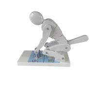 Wswqop Spine Lifting Posture Model Back Structure Demonstration Tool Posture Correction Body Structure Suitable for Instructor Classroom, White