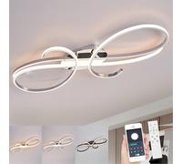 WSXEDC Modern LED Ceiling Lights，Creative Dimmable Ceiling Lamp with Remote Control for Living Room Bedroom Dining Room Corridors Chrome 60cm