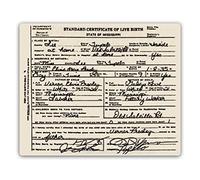 wtf | Elvis Birth Certificate | Sticky Pads - Metal Wall Sign Plaque Art Inspirational