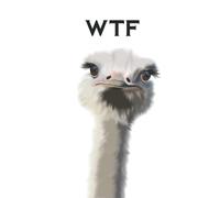 WTF Notebook: WTF funny hand illustrated ostrich chunky A5 240 page lined notebook/journal/diary perfect gift for nature/animal/stationary lover