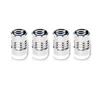 WTGOIGJTB 4 Pcs Tyre Valve Caps for Volvo C30 2008-2013, Tyre Valve Dust Caps with Rubber Seal Air Leakproof Dustproof Beautiful and Colorfast,Silver