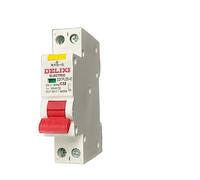 WTKFXVYHU Leakage Switch one air Switch Leakage Protection Double Input and Double Output and one Piece of Live Wire and Zero Wire at The Same time(DZ47PLES 1-bit leakage C 32A)