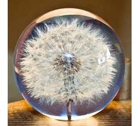 Wttagkl® Dandelion Crystal Paperweight - Glass Decor Ball with 3D Flower, Christmas/Birthday Gift for Family & Friends, Symbol Of Luck and Friendship ,A*7cm