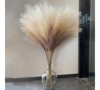 Wttisel 38" 10 Stems Faux Pampas Grass Decor - Tall Pampas Grass for Floor Vase, Boho Home Wedding Mothers Day Decoration (Beige Mixed)