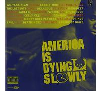 Wu Tang Clan - America Is Dying Slowly