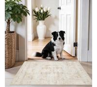 WUBCIX Entry Rugs, 60x90cm Door mat indoor,small rug | door runner mat indoor Small rugs for bedroom washable runner rug washable door mats small rugs