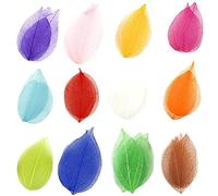 Wudaizhi 36pcs Natural Skeleton Leaf Dry Leaves Scrapbooking Craft Diy Card Wedding Material Mix Color