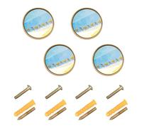 Wudan 4 Pack Knobs for Cabinets and Drawers 1.26 Inch (32mm) Kitchen Knobs for Cupboards Ants Carrying Food in Line