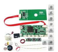 Wudhgslc Music Module -313 Main Board NFC USB MP3 for DIY Sound Walls | NFC-enabled -313 with USB MP3 transfer, designed for DIY sound walls and installations with simple plug-and-play.