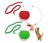 WUFGWBD 2 Pieces Of Cat Funny Balls And 1 Piece Of Feather Cat Funny Stick, Cat Interactive Toys, Pet Supplies, Cat Indoor Toys