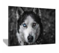 WUFIEA Dog Canvas Print Wall Painting Funny Animals Picture Odd-eyed dog for Livings Room Bedroom Office Decor(grey07)-40x60cm Framed