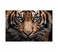 WUFIEA Majestic Tigers Art Animal Aesthetic Poster Canvas Wall Art Tigers looking straight ahead for Bedroom Living Room Paintings Pictures Wall Decor(Brown)-20x30cm Unframed