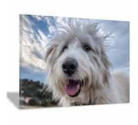 WUFIEA Modern Wall Artwork Funny Animals Poster, Dog Picture Wall Decor Windward Dog for Gifts Bathroom Home Kitchen Office Decor(blue-white101)-60x80cm Framed