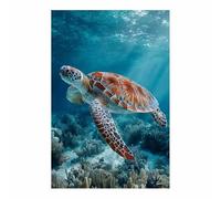 WUFIEA Ocean Theme Canvas Wall Art Animal Poster Colourful Sea Turtle for Living Room, Bedroom, Bathroom, Office.(brown234)-60x80cm Unframed