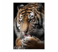 WUFIEA Tigers Art Canvas Wall Decor Canvas Painting Art Poster Licking Claw Tigers for Home Living Room Bedroom Wall Decor space personalized decoration(Orange)-20x30cm Unframed