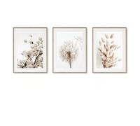 WUHBCZ Abstract Beige Plant Dandelion Reed Flower Wall Canvas Painting Modern Poster Print Art Picture For Living Room Bedroom Decoration-50 * 70cm*3pcs (Unframed)