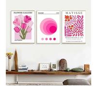WUHBCZ Abstract Pink Botanical Flower Round Coral Wall Canvas Painting Modern Poster Print Art Picture For Living Room Bedroom Home Decoration-50 * 70cm*3pcs (Unframed)