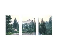WUHBCZ Art Prints-Abstract Forest Landscape Cloud and Mist Canvas Posters Nordic Nature Landscape Painting for Modern Living Office Room Wall Art Decor-30 * 50cm*3/12 * 20inch*3Pcs (No Frame)