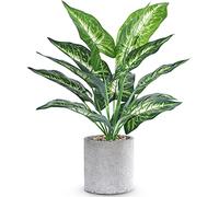 WUKOKU 16" Small Fake Plants Artificial Tropical Faux Plants Indoor Desk Plant for Home Office Kitchen Shelf Sage Green Decor