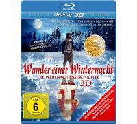 Wunder einer Winternacht 3D