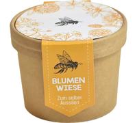 Wunderle Protect the Environment Bee Meadow - 1 item