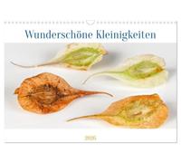 Wunderschöne Kleinigkeiten (Wandkalender 2026 DIN A3 quer), CALVENDO Monatskalender: Winzige Samen extrem vergrößert, Wunder der Natur