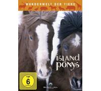 Wunderwelt der Tiere: Island Ponys