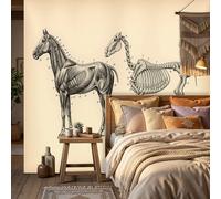 WunM Studio Beige 3D Animal Horse Wall Paper Decor for Bedroom Bathroom Ceiling Self Adhesive Retro science illustrations Contact Paper for Walls Cabinets,Not Self Adhesive Wall Mural